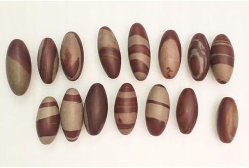 Narmada Shiva Lingam Stone 3"inch - Narmada River Shiva banalinga for Positive Energy Gemstone Shiva Lingam Stone - Worry Stone for Natural Body Chakra Balancing, Reiki Healing and Crystal Grid Shiva in Saudi Arabia
