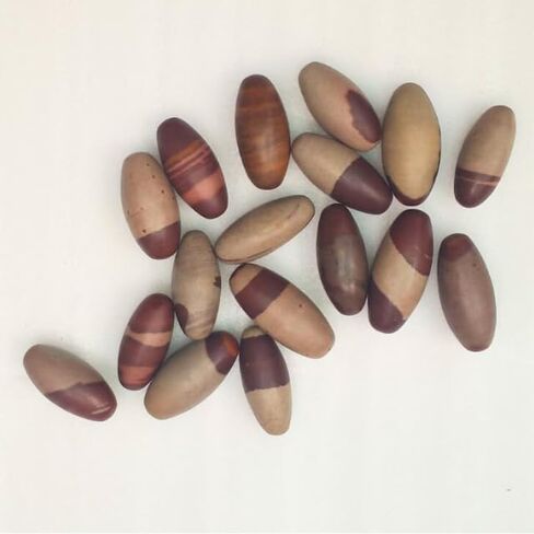 Narmada Shiva Lingam Stone 3"inch - Narmada River Shiva banalinga for Positive Energy Gemstone Shiva Lingam Stone - Worry Stone for Natural Body Chakra Balancing, Reiki Healing and Crystal Grid Shiva in Saudi Arabia