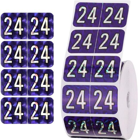 500 قطعة من ملصقات 2024 سنة، 3/4x1-1/2 بوصة 24 سنة ملصقات مستطيلة مشفرة ملونة ملصقات ذاتية اللصق لمجلد الملفات للعام لتصنيف ملفات اللوازم المكتبية (أخضر) in Kuwait