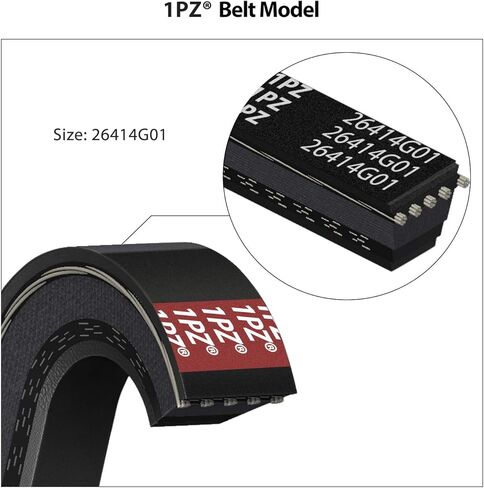 1PZ V1P-DS7 حزام القيادة ومجموعة حزام البداية لاستبدال EZGO TXT Medalist 4 Cycle Gas Golf Cart 1994-Up OEM # 72054G01 26414G01 72024G01 72025G01 in Saudi Arabia