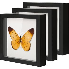 QDSSDECO 10 "X10" صناديق الظل معروضة مع بياضات ناعمة ظهر خشب عميق زجاج ثلاثي الأبعاد مربع لسباق الجدار واللواة الرياضية ، 2 عبوة أسود