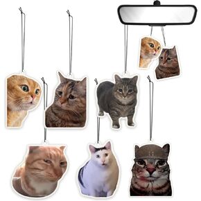 6pcs مضحك سيارة معطر الهواء للنساء الرجال الرجال لطيف الحلي المعطرة Cat Meme مضحكة سيارة معلقة الإكسسوارات