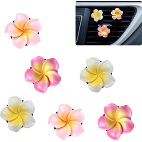 6 PCS CAR VENT AIR CLIP CLIP WOMEN