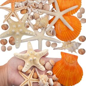30pcs Large Sea Shells Mixed Natural Beach Finger Seashells Starfish Scallop Small Conchs Vase Filler Fish Tank Ornaments for Beach Theme Party Table Scatters Home Decor DIY Crafts