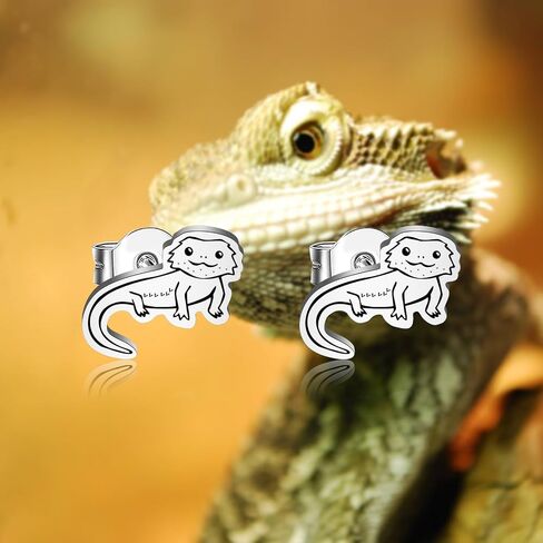 OKEYCH Bearded Dragon Lover Gift Stud Earrings Mom Jewelry in Kuwait