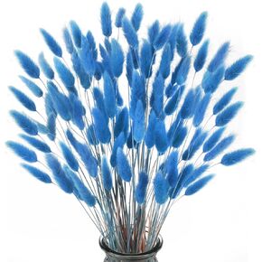 120pcs ذيول أرنب حمراء مجففة الزهور المجففة الطبيعية زهور ميني بامباس العشب الجزء الأكبر للمنزل بوهو طاولة الزفاف حفلة ديي ديكور يوم التذكارات المزرعة (17 ")