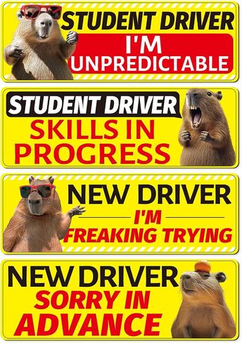 Sloth New Driver Car Magnets - Cosmisun 4 Pcs Cartoon Student Driver Sticker Magnet for Car Cute Animal Reflective Magnetic Bumper Stickers Decal Keep Distance Safety Sign for Teens Driver Learner in Saudi Arabia
