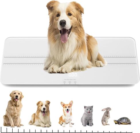Digital Pet Scale for Small-Medium Dogs/Large Cat, Measuring Range: 0.45lbs-220lbs, Not Suitable for Large Dogs in Saudi Arabia