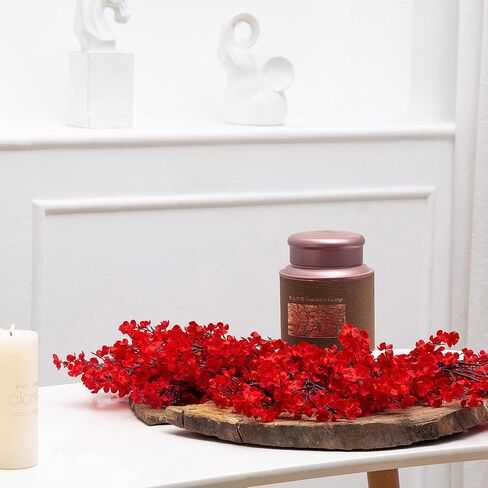 10 Pcs Babys Breath Artificial Flowers Bulk Real Touch Flowers Fake Flowers Silk Flowers for Home Decor Indoor Floral Arrangement Table Centerpieces Festival Party Decor (Red) in Saudi Arabia