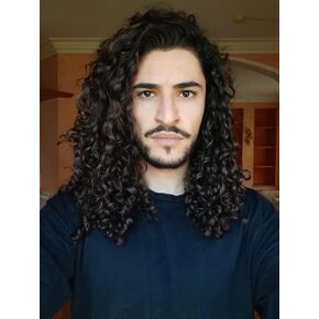Sallcks Men Wigs Long Brown Curly Wig Natural Curly Brown Cosplay Costume Halloween Synthetic Hair Wig for Men