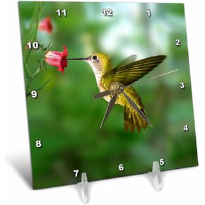 3DROSE HUMMINGBIRD CLOCK ، 6 × 6 بوصات