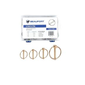 30PCS LYNCH PIN TOWSORTMENT KIT - PIN LYNCH الثقيلة (1/4 "x1-3/4) مجموعة تشويش لجرارات المزرعة تقطرات الشاحنات - Beau -5053