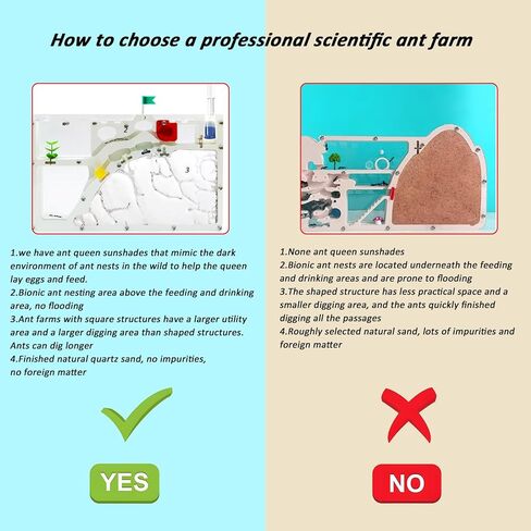 Sand Ant Farm Castle for Kids,Large Ant Habitat to Study Insect Behavior,Ant Colony Ecosystem Science Educational Gift for classroom in Kuwait