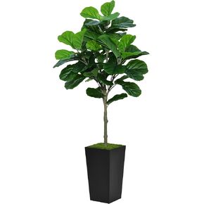 أوراق Fiddle Fig شجرة مصطنعة 5 أقدام - أوراق Faux Face Fig Tree مع زارع أبيض طويل القامة - Ficus Ficus Lyrata Plant Potted - شجرة التين الاصطناعية لديكور غرفة المعيشة في المنزل الداخلي