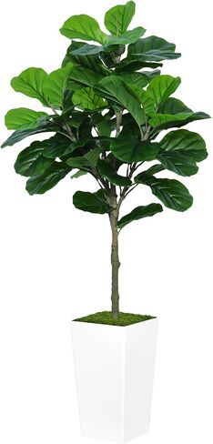 Fiddle Leaf Fig Tree Artificial 5FT - Faux Fiddle Leaf Fig Tree with White Tall Planter - Fake Ficus Lyrata Floor Plant Potted - Artificial Fig Tree for Home Office Living Room Decor Indoor in Saudi Arabia