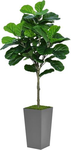Fiddle Leaf Fig Tree Artificial 5FT - Faux Fiddle Leaf Fig Tree with White Tall Planter - Fake Ficus Lyrata Floor Plant Potted - Artificial Fig Tree for Home Office Living Room Decor Indoor in Saudi Arabia