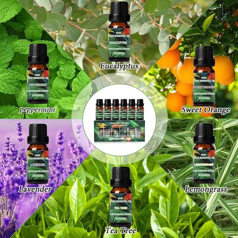 Essential Oils Set,Pure Essential Oils for Diffusers for Home (Gardenia, Lavender, Cherry Blossom, Chamomile, Jasmine, Rose) Fragrance Aromatherapy Oils Gift,6x10ml in Saudi Arabia