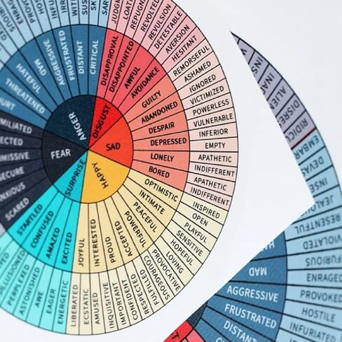 قطعتان من ملصقات الفينيل لعجلة المشاعر، ملصقات مخطط دائري من الفينيل لعجلات المشاعر ذاتية اللصق، مخططات ألوان عقلية لأجهزة الكمبيوتر المحمول وكأس السيارة وملصقات المدرسة والمكتب ولوحة التزلج ومستشار الموظفين الاجتماعي in Kuwait