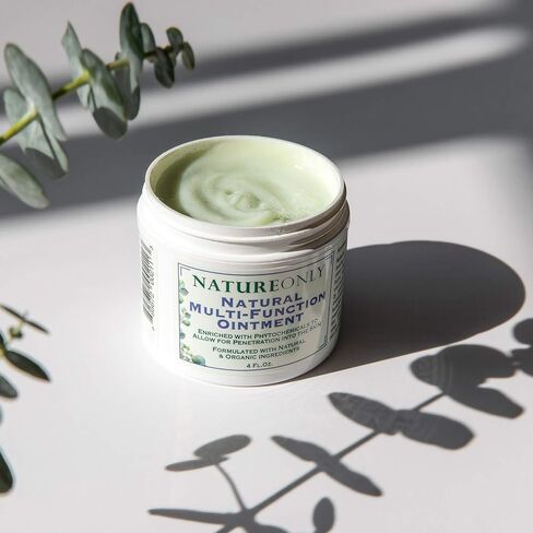 Nature Only Natural Multi-Function Ointment, 4 Oz Best Skin Healing Aids Enriched with phytochemicals to Allow for Penetration into Skin, Formulated with Natural & Organic Ingredients (4.0) in Saudi Arabia