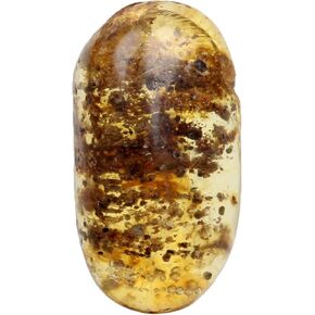 REAL-GEMS Genuine Myanmar Amber Stone Oval Shape with Fossils Insects Inclusions