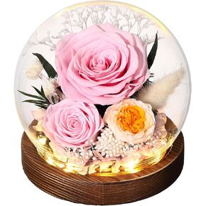 هدايا لزهرةها المحفوظة روز في هدايا قبة زجاجية للنساء زوجة أمي في عيد ميلاد كريساس ، ديكور المنزل. in Kuwait