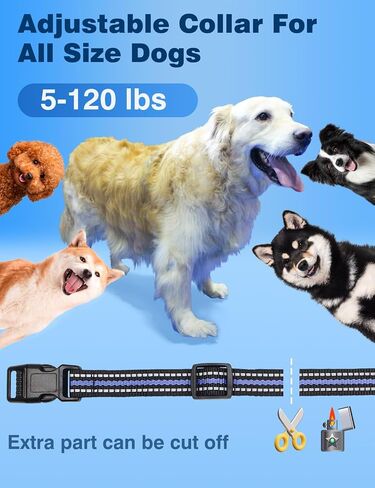 Dog Training Collar, 3300Ft Auto Bark and Training Collar Combo with Beep, Vibration, Static and Auto Bark Mode, Rechargeable Bark Collar with Remote, IPX7 Anti Bark Collar for All Breeds Dogs in Saudi Arabia