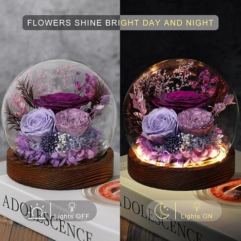 Gifts for Her Preserved Flower Rose in Glass Dome Gifts for Women Mom Wife on Birthday Chrismas,Home Decoration.Purple Light Purple in Kuwait