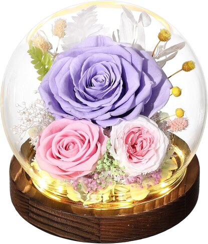 Gifts for Her Preserved Flower Rose in Glass Dome Gifts for Women Mom Wife on Birthday Chrismas,Home Decoration.Purple Light Purple in Kuwait