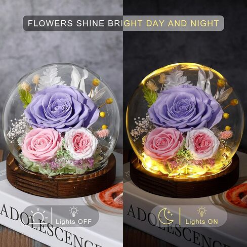 Gifts for Her Preserved Flower Rose in Glass Dome Gifts for Women Mom Wife on Birthday Chrismas,Home Decoration.Purple Light Purple in Kuwait