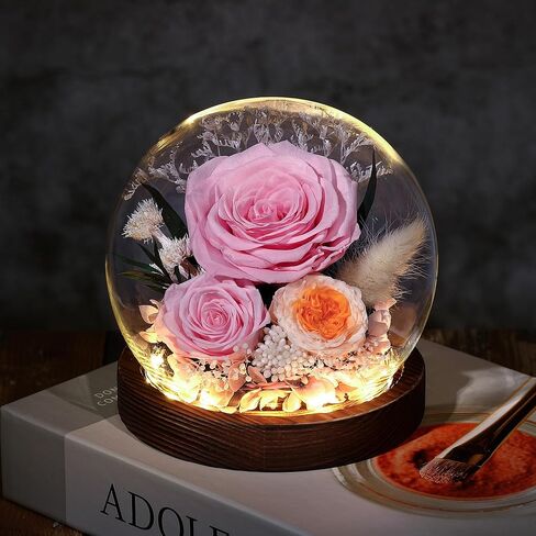 هدايا لزهرةها المحفوظة روز في هدايا قبة زجاجية للنساء زوجة أمي في عيد ميلاد كريساس ، ديكور المنزل. in Kuwait