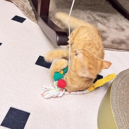 IUHKBH Cat Wands، قطعتان من عصا تحفيز القطط على شكل حيوان مع جرس خشبي للقطط، لعبة تفاعلية للقطط والقطط in Saudi Arabia