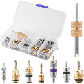 40pcs AC Valve Core Kit ، Car Air Compledal Valve Core ، R12 R134A التبريد ببديل لمكيف الهواء.
