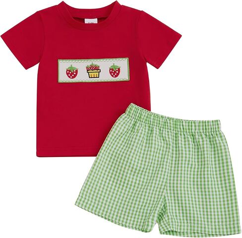 Toddler Baby Boy Summer Clothes Fruits Embroidery Short Sleeve T Shirt Plaid Shorts Sets Cute Boys Summer Outfits in Saudi Arabia