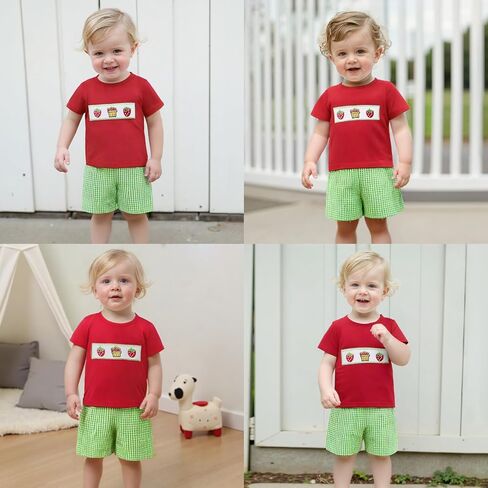 Toddler Baby Boy Summer Clothes Fruits Embroidery Short Sleeve T Shirt Plaid Shorts Sets Cute Boys Summer Outfits in Saudi Arabia