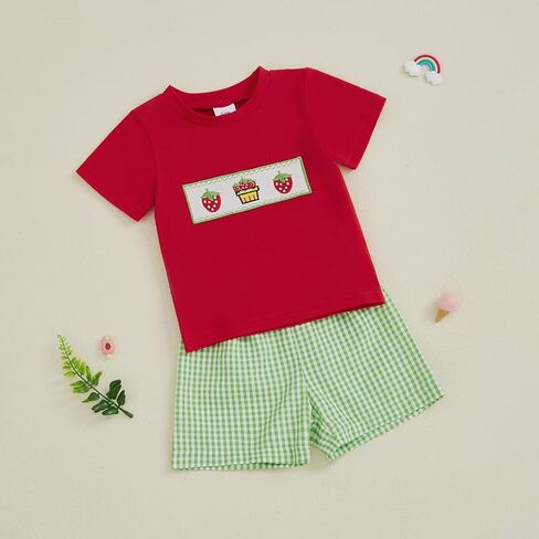 Toddler Baby Boy Summer Clothes Fruits Embroidery Short Sleeve T Shirt Plaid Shorts Sets Cute Boys Summer Outfits in Saudi Arabia