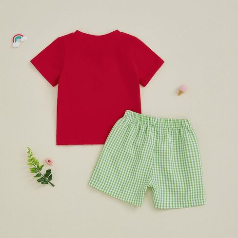 Toddler Baby Boy Summer Clothes Fruits Embroidery Short Sleeve T Shirt Plaid Shorts Sets Cute Boys Summer Outfits in Saudi Arabia