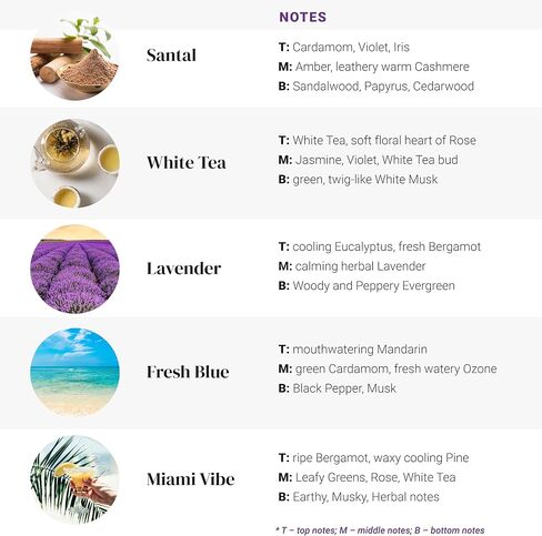 The Hotel Fragrance Oil Set, Fragrance Oils for Diffusers for Home, Hotel Collection Diffuser Oil Set with Santal, White Tea, Fresh Blue, Lavender, Miami Vibe, 5 x 0.33oz in Kuwait