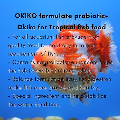OKIKO Platinum X2، الكريات العائمة الحجم M = 2 مم، FLOWERHORN Fish Food تركيبة علامة الرأس الحمراء عالية البروتين أستازانتين اللون المعزز لتغذية الأسماك الاستوائية بروبيوتيك صحي ونمو سريع in Saudi Arabia