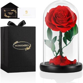 Preserved Flowers Roses in Glass Dome, Real Roses That Last 5 Years, Forever Flowers for Delivery Tomorrow, Mothers Gifts for Mom, Wife Anniversary Birthday Gifts for Women, Black