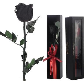 Forever Flower, Preserved Rose Birthday Gifts for Women, Her, Wife, Mom, Prime Eternal Roses Gifts for Mothers Day, Valentines Day, Anniversary, Graduation, Wedding, Single Rose Real Rose (Red)