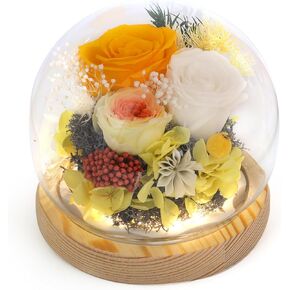 Luxury Preserved Flowers Real Roses in Gift Box for mom,Ideal Teacher Appreciation Gifts, Graduation Gifts, or Bridesmaid Gifts - Beautiful Home Decor