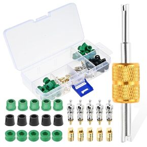 A/C 1/4" Charging Hose Gasket with Valve Core Kit, Air Conditioning Valve Core Kit Repair Tool with Valve Core Remover (101PCS