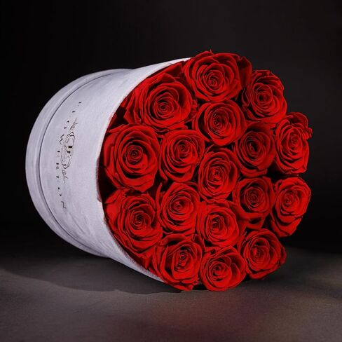 17 Flowers in a Luxury Suede Box, Birthday Gifts for Women, Preserved Flowers, Mothers Day Roses Gift for Mom, Bossy Pink in Saudi Arabia