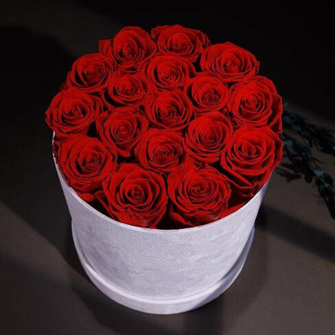 17 Flowers in a Luxury Suede Box, Birthday Gifts for Women, Preserved Flowers, Mothers Day Roses Gift for Mom, Bossy Pink in Saudi Arabia