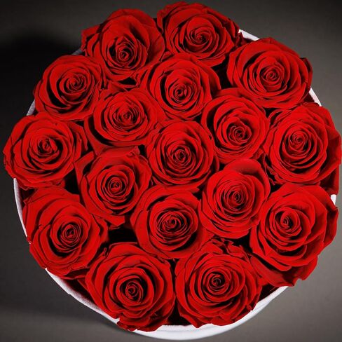 17 Flowers in a Luxury Suede Box, Birthday Gifts for Women, Preserved Flowers, Mothers Day Roses Gift for Mom, Bossy Pink in Saudi Arabia