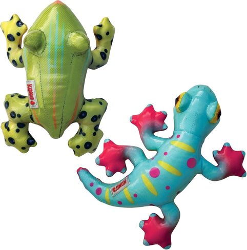 KONG Shieldz Tropics Frog Md in Saudi Arabia