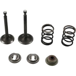 Racing 26lb Valve Springs Retainer and Lock for Predator 196cc 212cc 224cc non Himi 5.5hp 6.5hp Honda Gx200 Gx160 OHV Clone Engine Mini Bike Powerhorse 208cc Tillotson Go Kart (26lb)