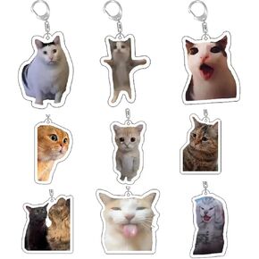 سلسلة مفاتيح Cat Alien Cat Cat Funny Cat Meme Keychains سحر حقيبة حقيبة حقيبة يد حقيبة تحمل 5pcs