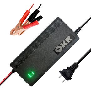 14.6V LifePo4 Charger 12V 10A Lithium Battery Charger Special لبطارية فوسفات الحديد الليثيوم 12V ، والشاحن الذكي مع مؤشر LED ، وحماية أمان مدمجة ، ودعم الشحن السريع