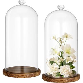 Suclain 2 Pcs Glass Cloche Display Dome with Diamond Handle 10" Clear Decorative Glass Bell Jar with Dark Brown Wooden Base Tabletop Display Case for Plants Toy Collectibles Medal Home Office